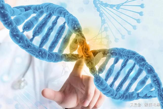 “刷” 出生物医药领域洁净新高度冰球突破平台傲群医疗器械清洁刷：(图2)